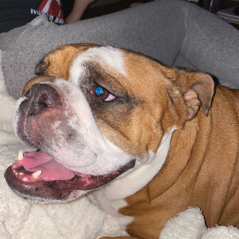 Meet your Posher, Shelly